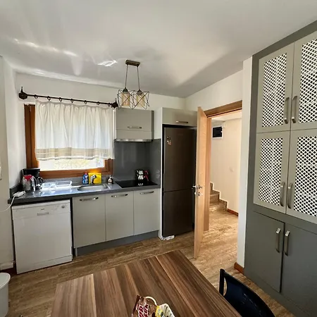 Villa Merry - Dalyan Stonehouse With Palmtrees, 50m To River